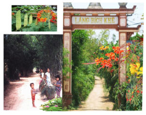 Dxloicu