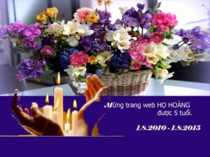Web 5 T