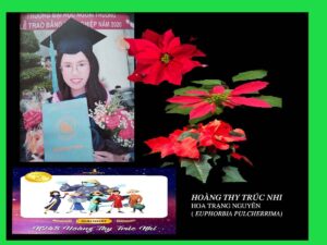 Hoàng Thy Trúc Nhi tốt nghiệp đại học